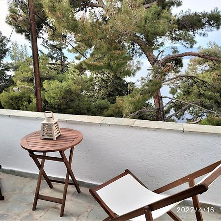 Pine Trees And Sea View Houses In Hydra - Daphne, Chloe, Myrto, Eleni 객실 사진