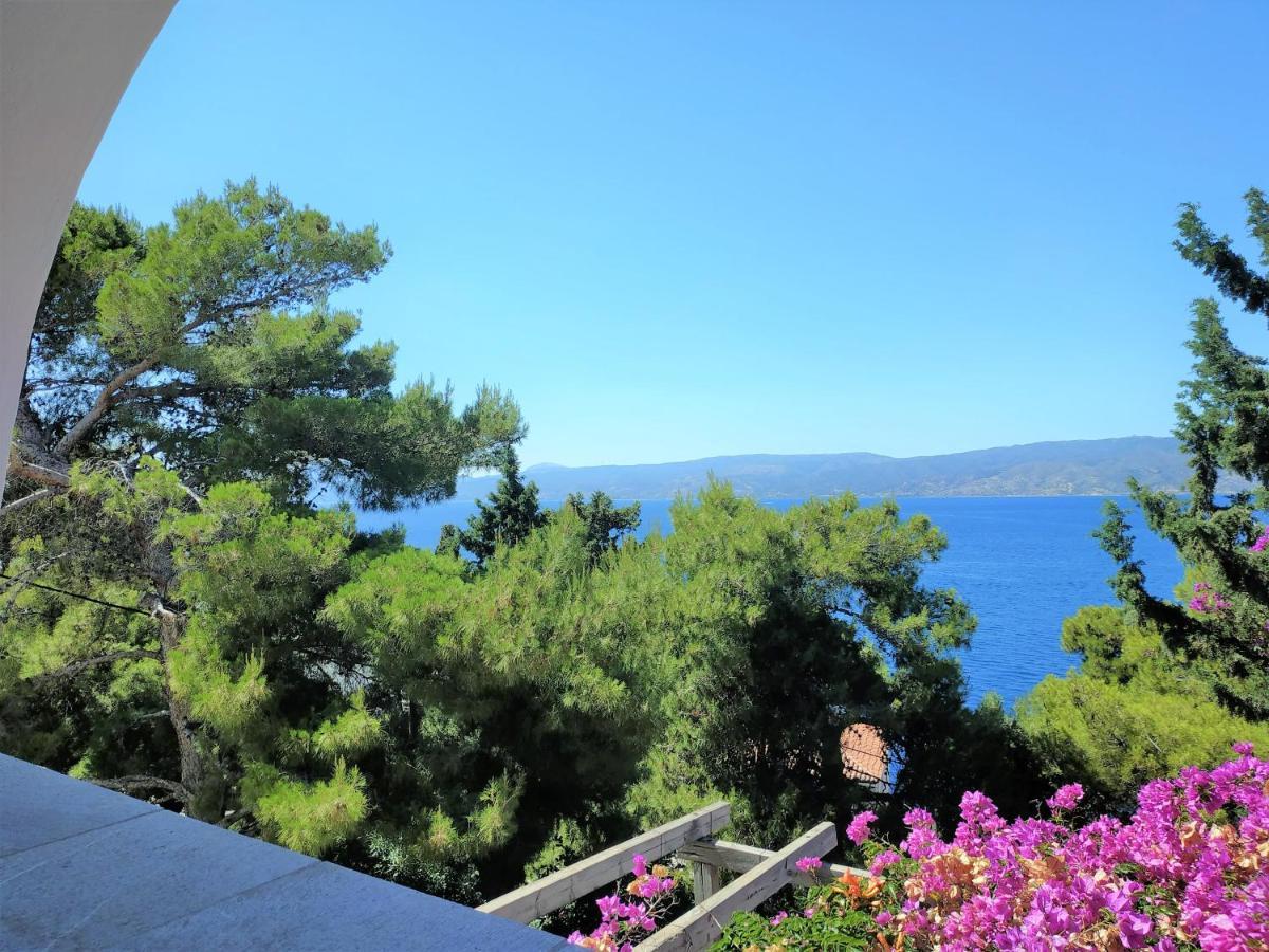 Pine Trees And Sea View Houses In Hydra - Daphne, Chloe, Myrto, Eleni 외부 사진