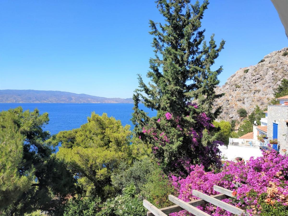 Pine Trees And Sea View Houses In Hydra - Daphne, Chloe, Myrto, Eleni 외부 사진
