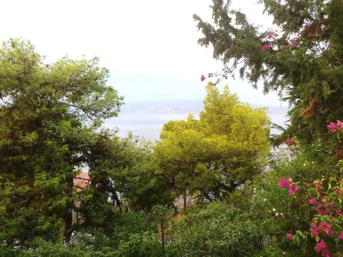 Pine Trees And Sea View Houses In Hydra - Daphne, Chloe, Myrto, Eleni 외부 사진
