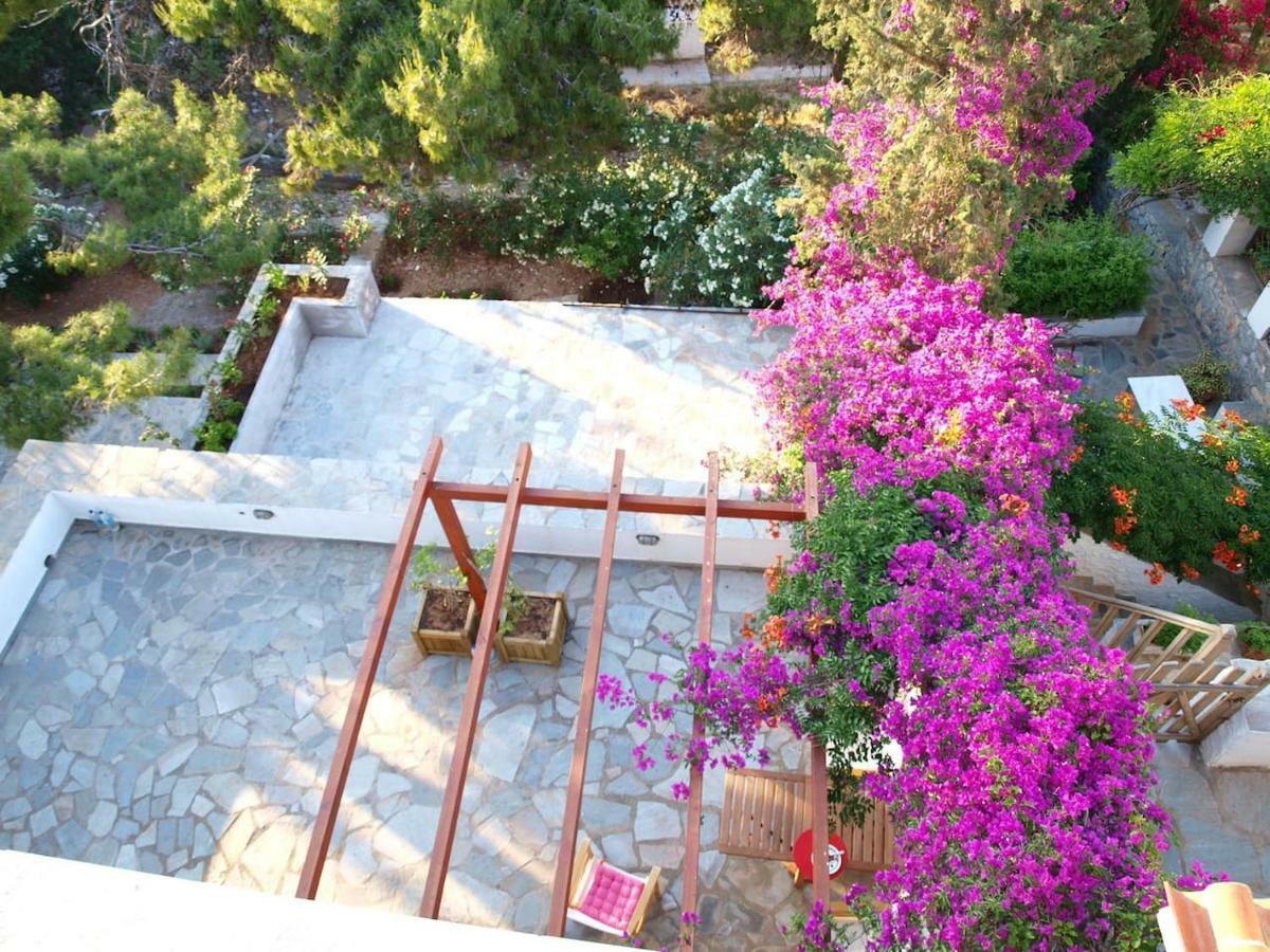 Pine Trees And Sea View Houses In Hydra - Daphne, Chloe, Myrto, Eleni 외부 사진
